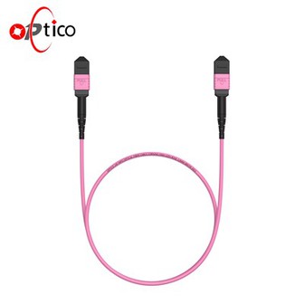 24F SM MPO Trunk Patchcord Patch-kabel